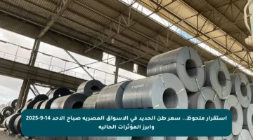 استقرار ملحوظ.. سعر طن الحديد في الأسواق المصرية صباح الأحد 14-9-2025 وأبرز المؤثرات الحالية